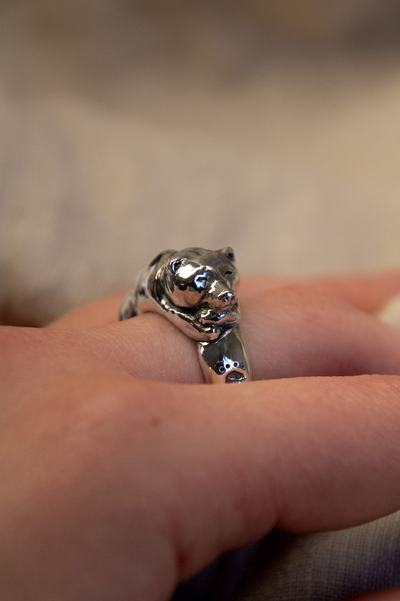 The Guardian Ring