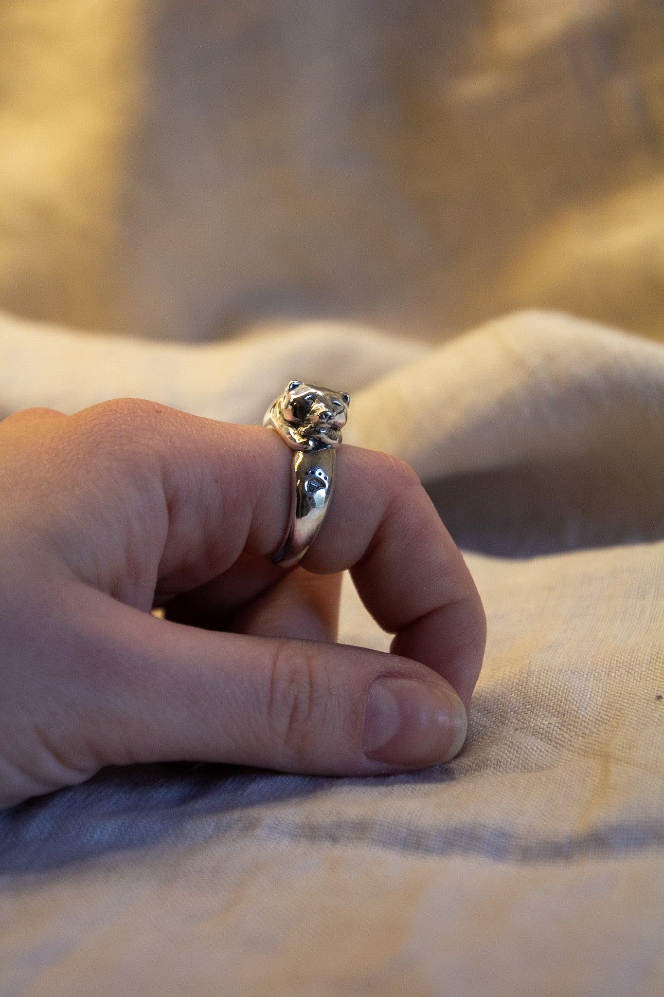 The Guardian Ring